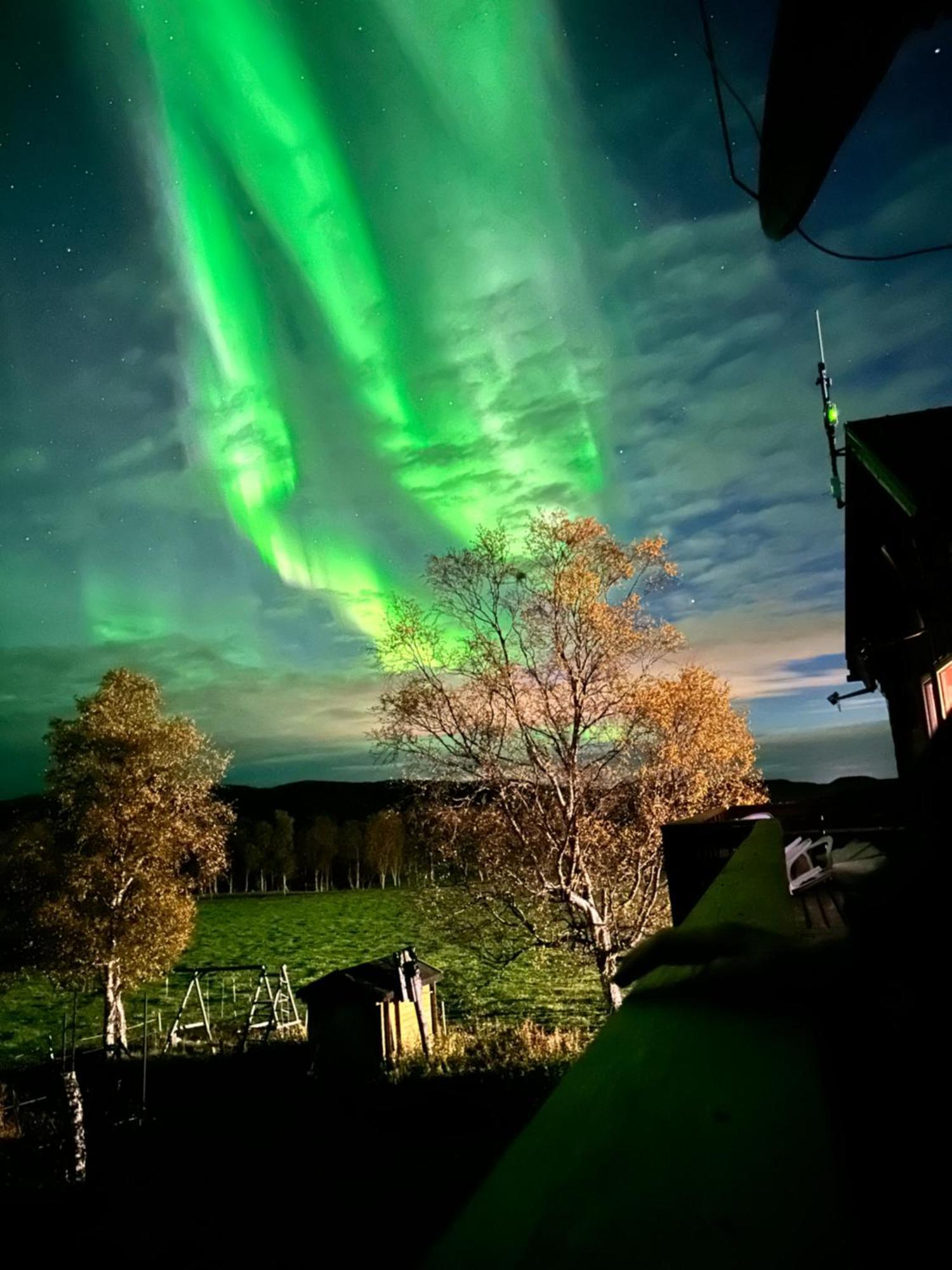 Kulpmo Gard Jarfjord-Kirkenes Villa Luaran gambar